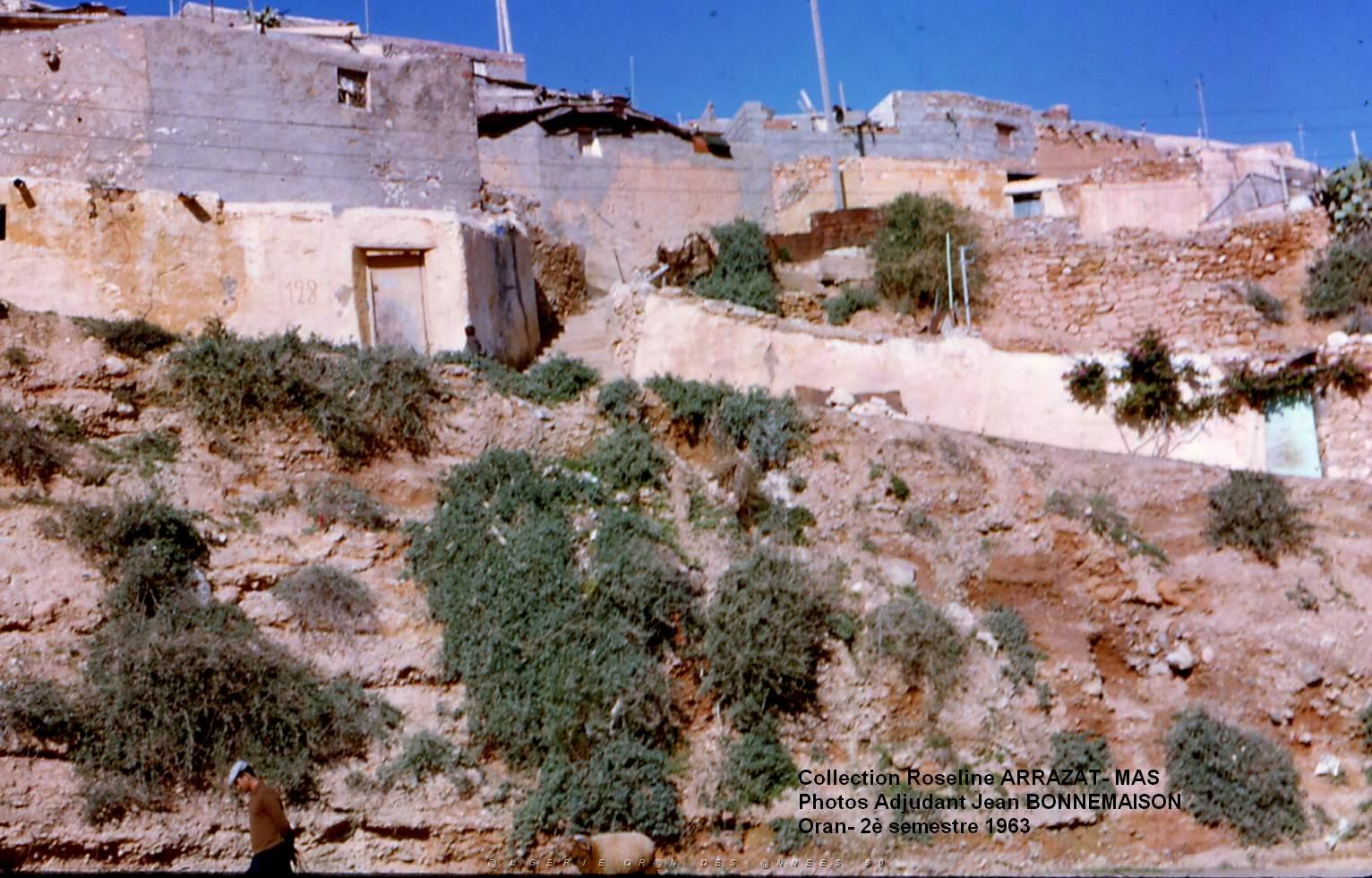 Mas- 101- Oran .jpg